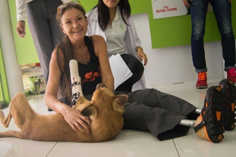 «Мы с тобой одной крови — ты и я»